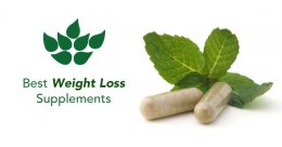 best fat loss supplements 2016