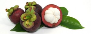 Fruit-Garcinia-Cambogia-extract