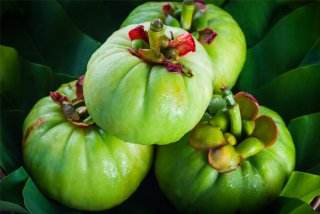 Garcinia Cambogia Extract an in depth Review (You May Be surprised in what it truly Does…)