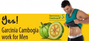 garcinia cambogia for males