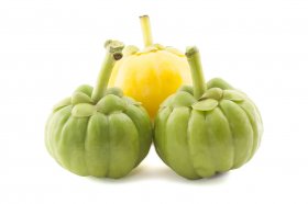 garcinia-cambogia-fruit-product-image