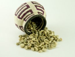 Green Coffee Seed for losing weight