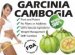 Garcinia Cambogia Extract Natural