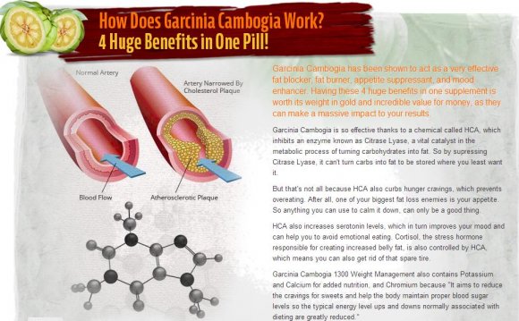 Garcinia active Plus