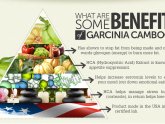 Garcinia Cambogia Benefits
