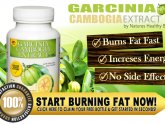 Garcinia Cambogia Extract with Potassium no Fillers