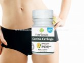 Garcinia Cambogia which one is best