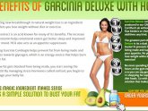 Information about Garcinia Cambogia