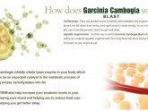 What are the benefits of Garcinia Cambogia?