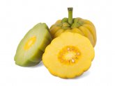 What brand of Garcinia Cambogia Works?