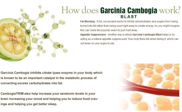 What are the benefits of Garcinia Cambogia?